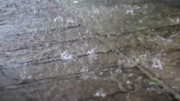 Sommerregen massive Tropfen — Stockvideo