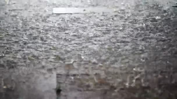 Letní déšť sezóny Closeup — Stock video