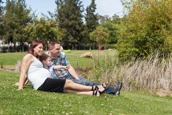 Молода вагітна сім'я відпочиває в парку — стокове фото