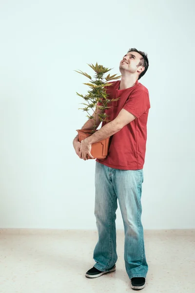 Щасливий чоловік з рослиною конопель — стокове фото