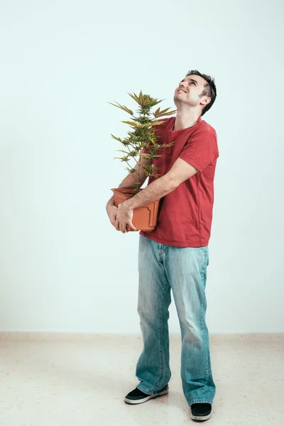 Gelukkig man met wietplant — Stockfoto