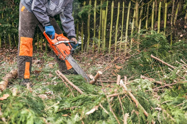 Professional gardener using chainsaw — Stock Photo, Image