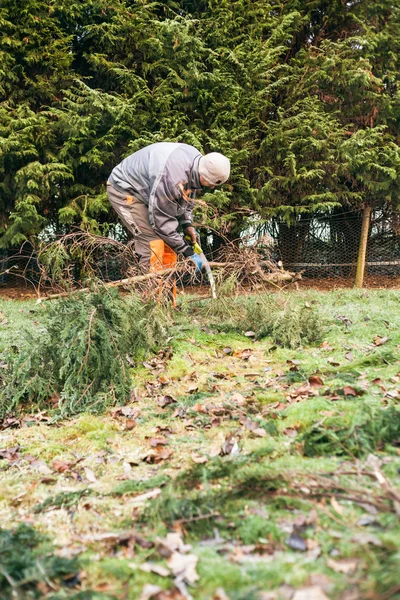 Poda de jardineros — Foto de Stock