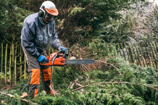 Professional gardener using chainsaw — Stock Photo, Image