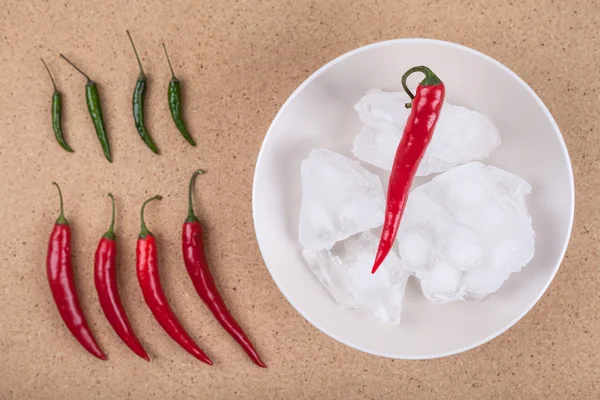 Peperoncini freschi con ghiaccio sul piatto — Foto Stock