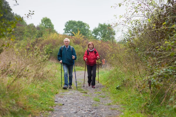 Senior couple Nordic walking on the trail in nature Stock Image