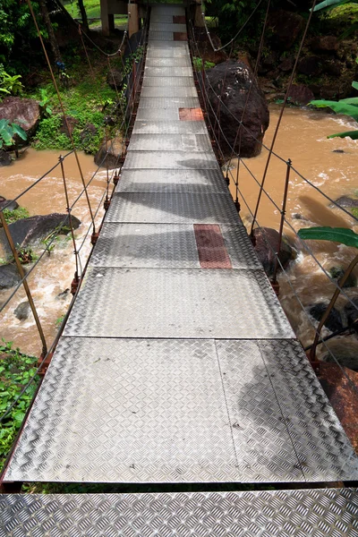 Suspension bridge in tropical forest — Stock Photo, Image