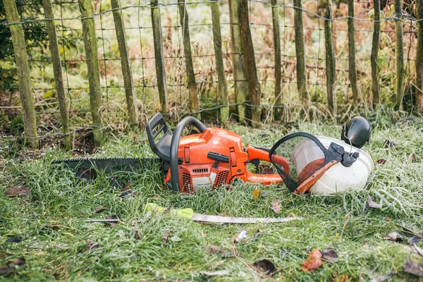Chainsaw and pruning handsaw — Stock Photo, Image