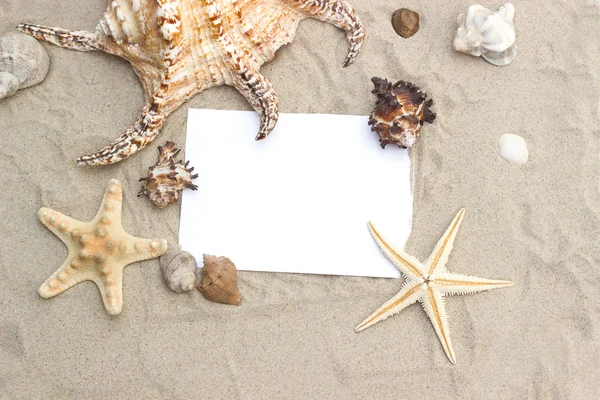 Papel em branco na areia da praia verão estrela do mar — Fotografia de Stock