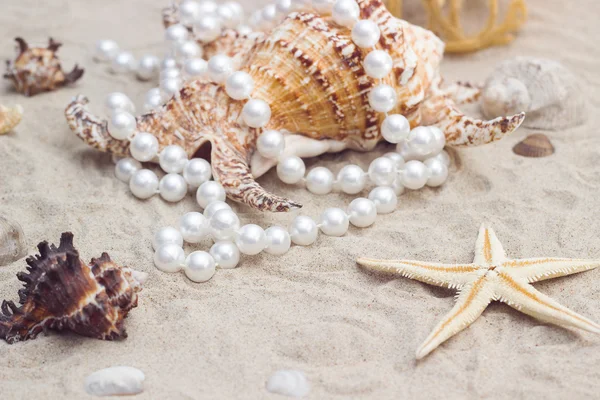 Concha con perlas en una playa de arena — Foto de Stock
