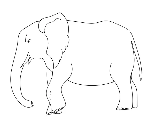 Vector outline illustration of elephant — Stock Vector