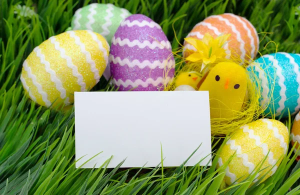 Easter eggs and chicken — Stock Photo, Image