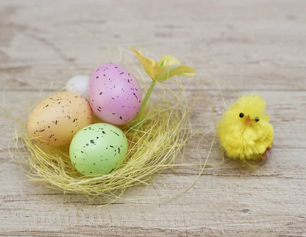 Colored eggs in a nest with chicken on a wood — Stock Photo, Image