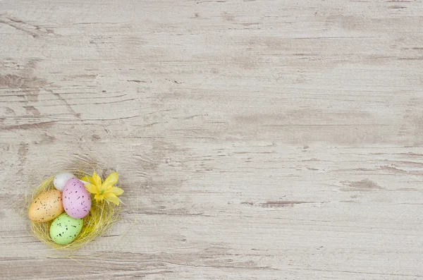 Huevos coloreados en un nido con pollo sobre una madera —  Fotos de Stock