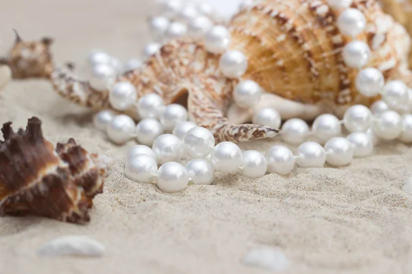 Concha con perlas en una arena — Foto de Stock