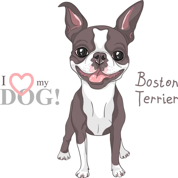 Wektor szkic pies rasy Boston Terrier uśmiechający się — Wektor stockowy