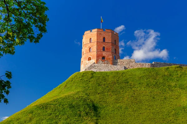 Litvanya, Vilnius 'taki Gediminas Kulesi — Stok fotoğraf