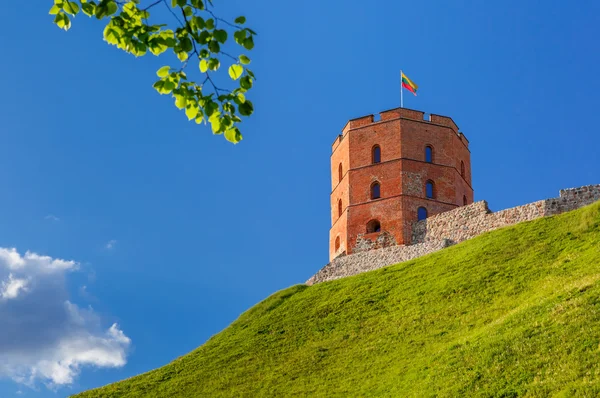 立陶宛维尔纽斯的Gediminas塔 — 图库照片