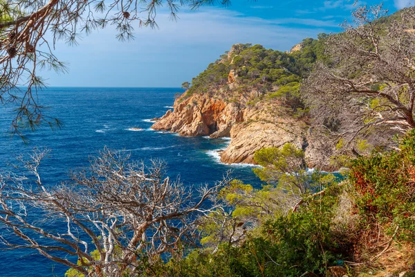 Tossa de Mar on the Costa Brava, Catalunya, Spain — Stock Photo, Image