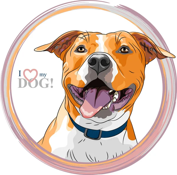 Vector sketch smiling dog American Staffordshire Terrier breed — Stock Vector