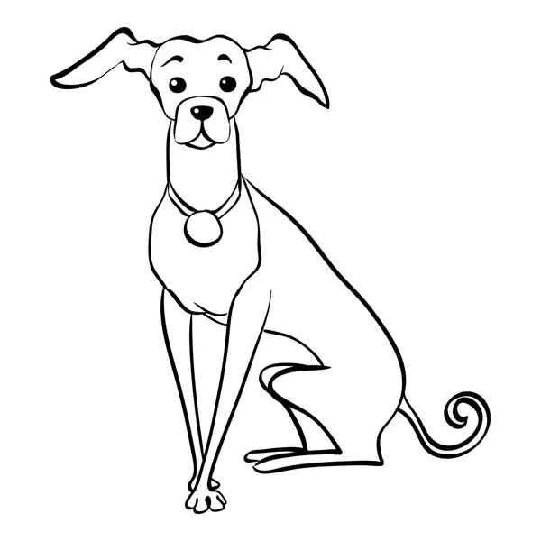 Вектор ескіз смішні Італійська хорт собак сидить — стоковий вектор