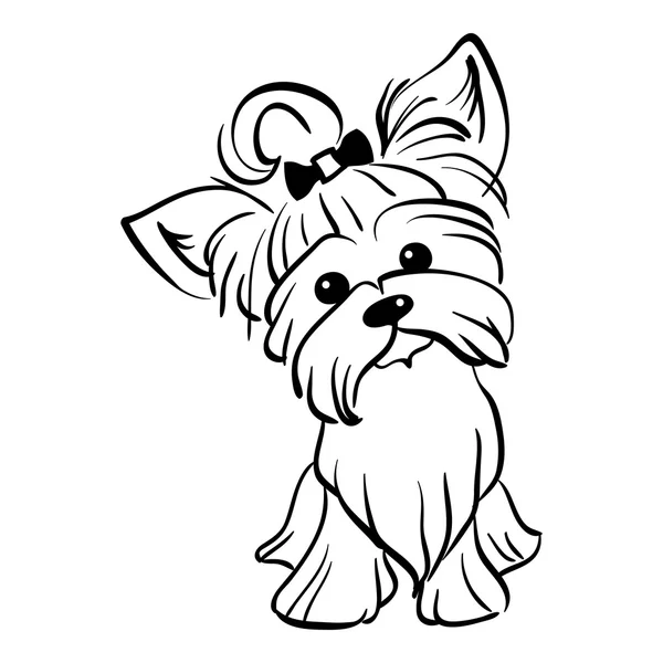 Vektor-Skizze lustiger yorkshire terrier dog sitting — Stockvektor