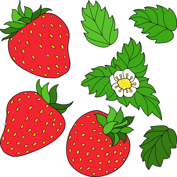 Set fraises juteuses mûres — Image vectorielle