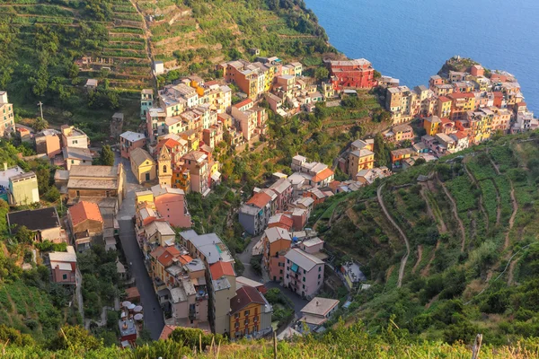 Панорама Manarola Чинкве-Терре, Лігурія, Італія — стокове фото