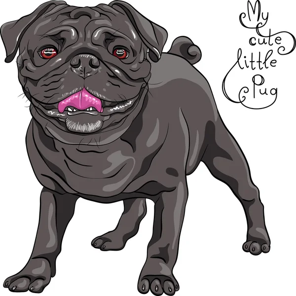 Vektoros rajz aranyos kutya fekete mopszli tenyészt — Stock Vector