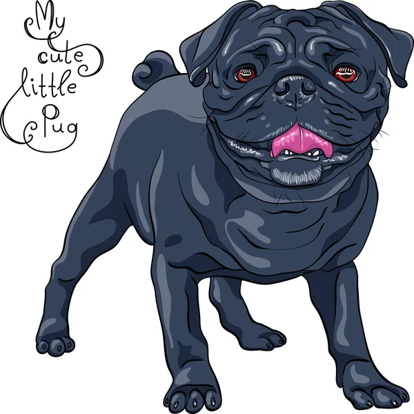 Vector sketch cute dog black pug breed — Stock Vector