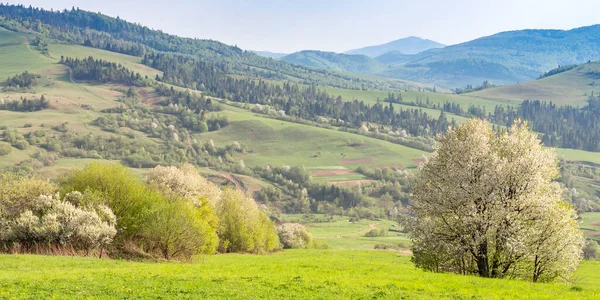 Paisagem de primavera de Montanhas Cárpatas — Fotografia de Stock