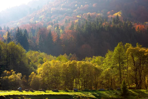 Осінній краєвид Карпатського лісу — стокове фото