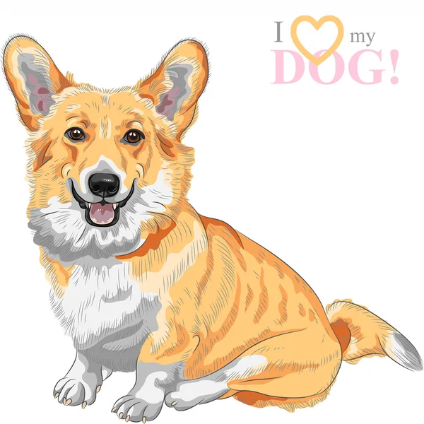 Vector bosquejo perro Pembroke galés corgi sonriendo — Vector de stock