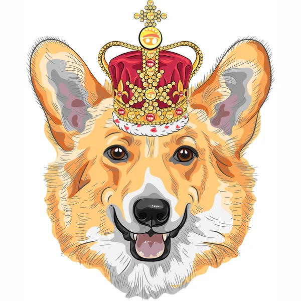 Vector schets hond pembroke welsh corgi glimlachend in gouden kroon — Stockvector