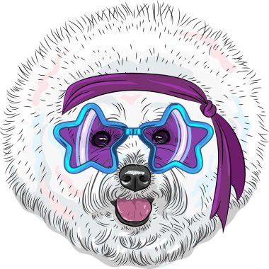 vector funny cartoon hipster dog Bichon Star Disco  clipart