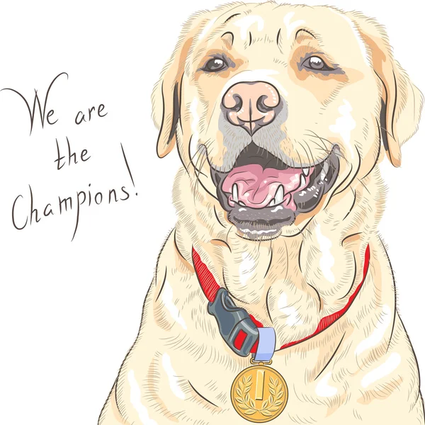Vektor kutya tenyészt labrador retriever champion — Stock Vector