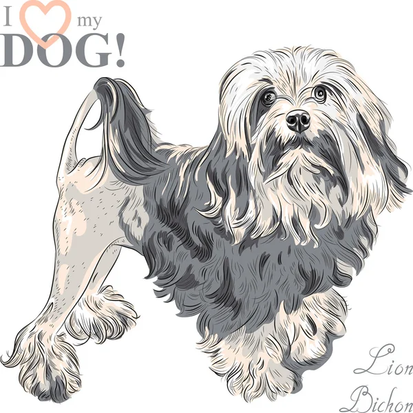 Vector dog breed Lowchen — Stock Vector