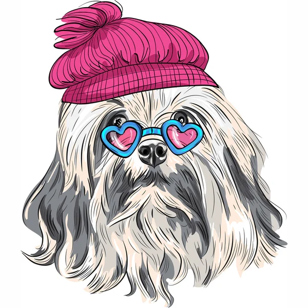 Vetor engraçado desenho animado hipster Lowchen cão — Vetor de Stock