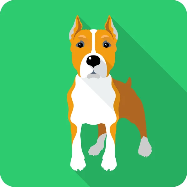 Hund amstaff icon flaches Design — Stockvektor