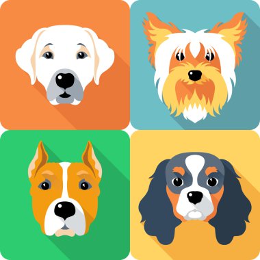 SET dogs icon flat design  clipart
