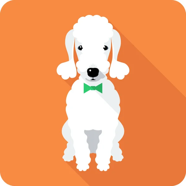 Dog icon flat design — Stock Vector