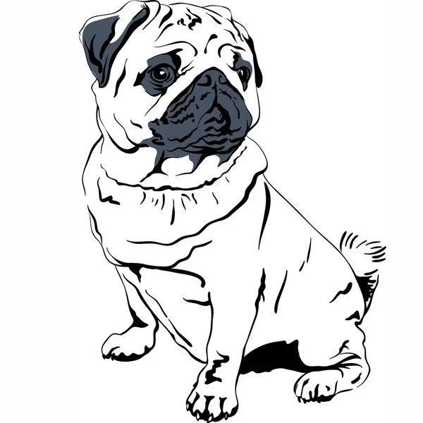 Vector bosquejo perro Pug raza mano dibujo vector — Vector de stock