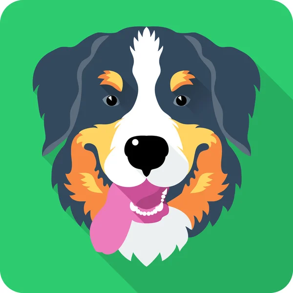 Bernese hegy kutya kutya ikon lapos kivitel — Stock Vector
