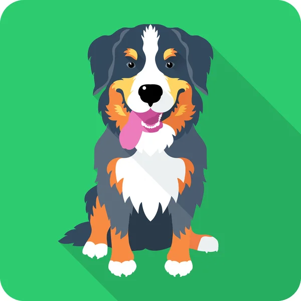 Bernese Mountain Dog icona design piatto — Vettoriale Stock