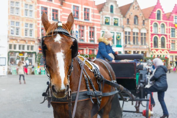 Paard en wagen en toeristen op Markt plein van Brugge Kerstmis — Stockfoto