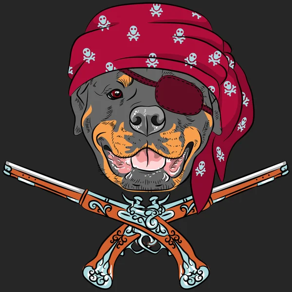 Vektor pes Rottweiler pirát s pistolí — Stockový vektor