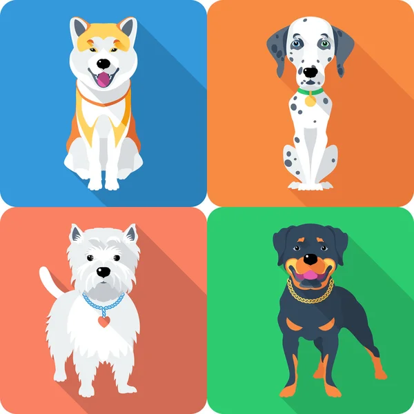Anjing Akita Inu, Dalmatian, Rottweiler dan West Highland Ikon Putih desain datar - Stok Vektor