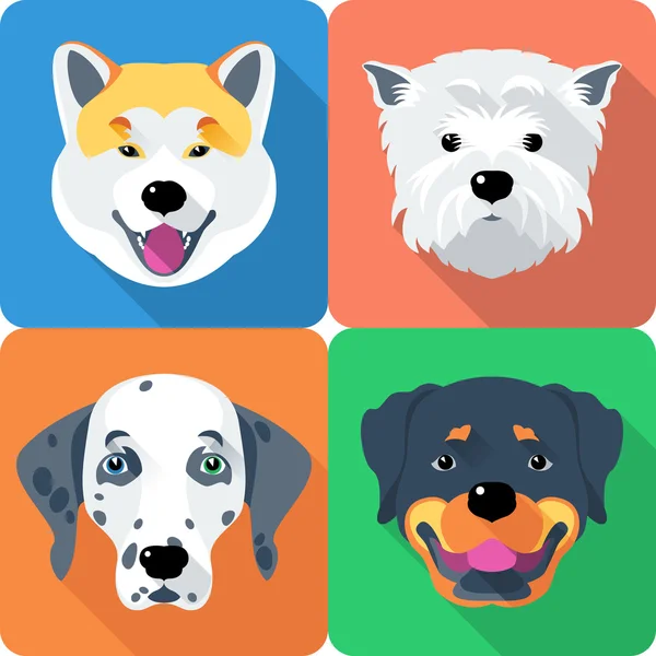 Chien Akita Inu, Dalmatien, Rottweiler et West Highland White Terrier icône design plat — Image vectorielle