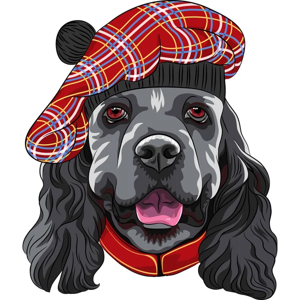 Vector perro americano Cocker Spaniel en escocés Tam — Vector de stock