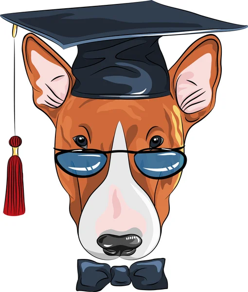 Vector funny graduated dog Bullterrier — Stock Vector